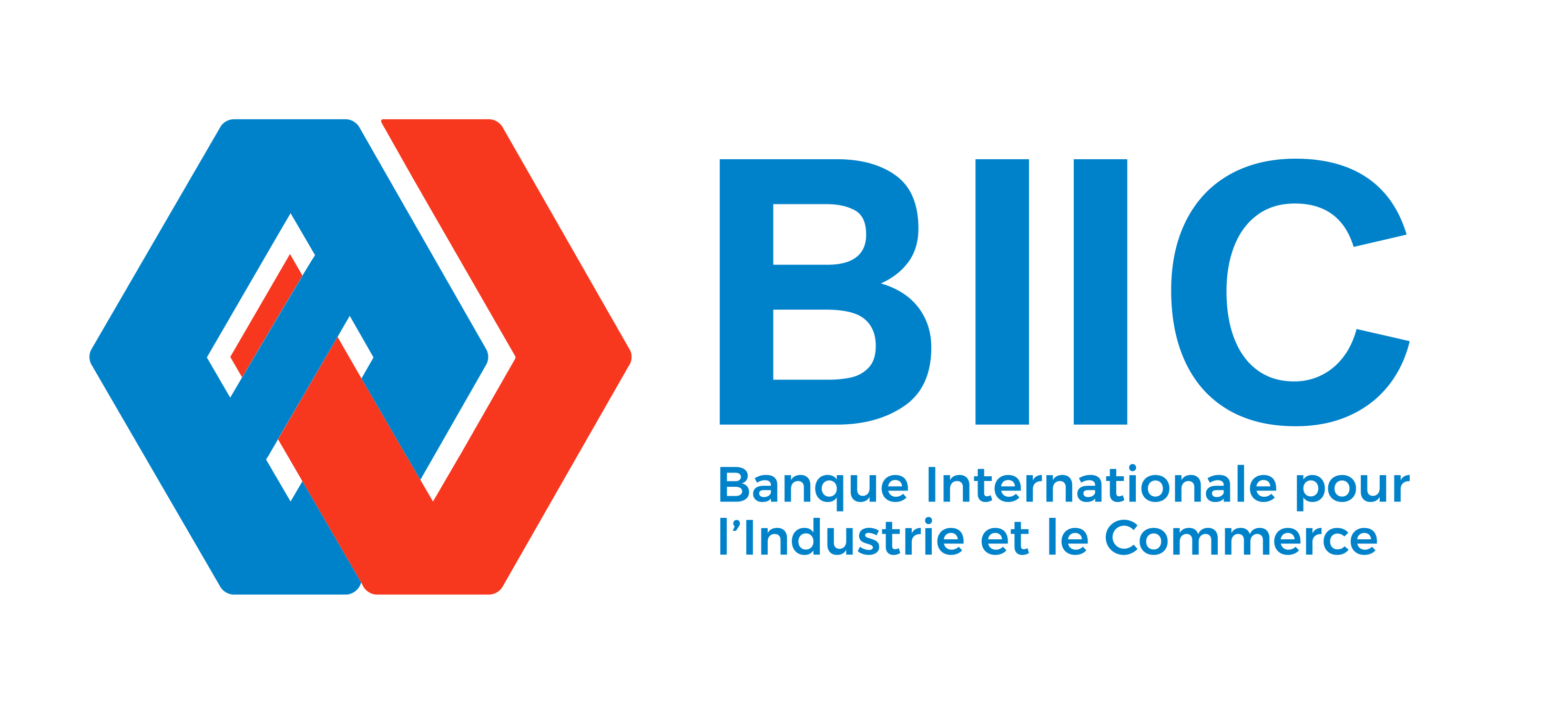 BIIC_Logotype (1)_260106_102409
