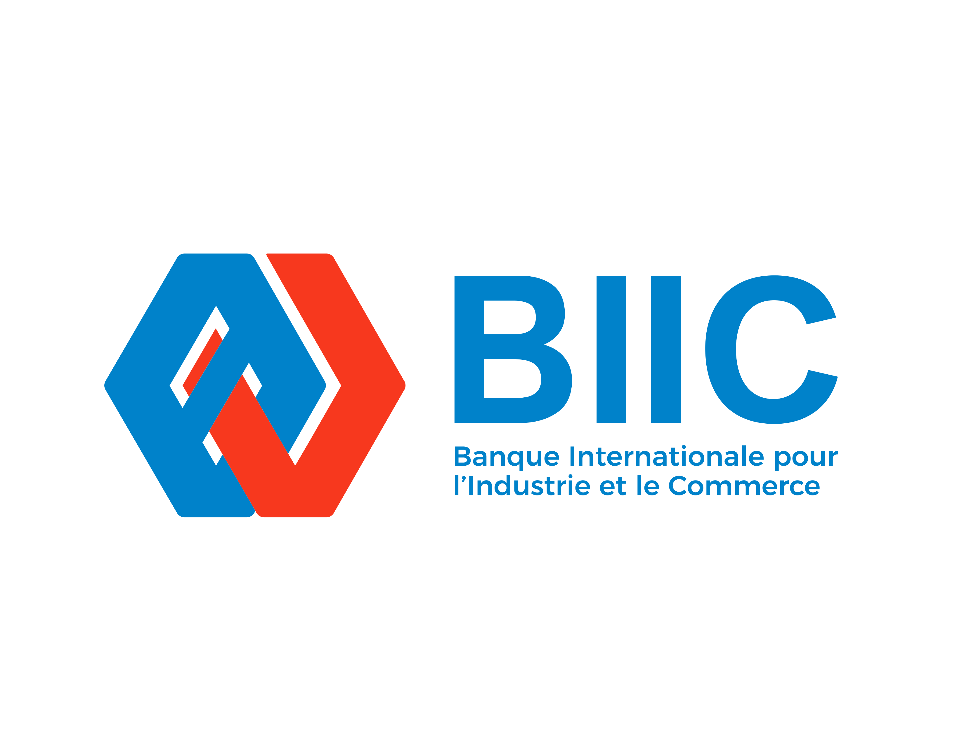 BIIC_Logotype (1)_260106_102409